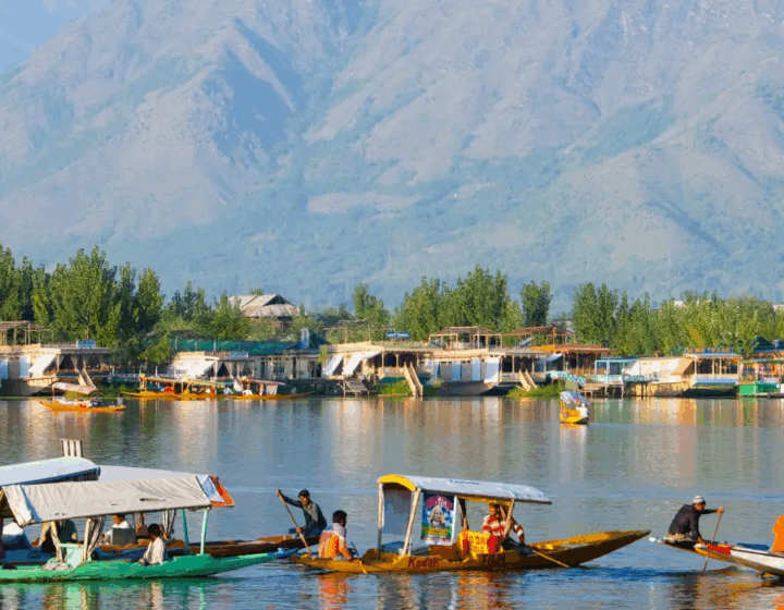 Kashmir